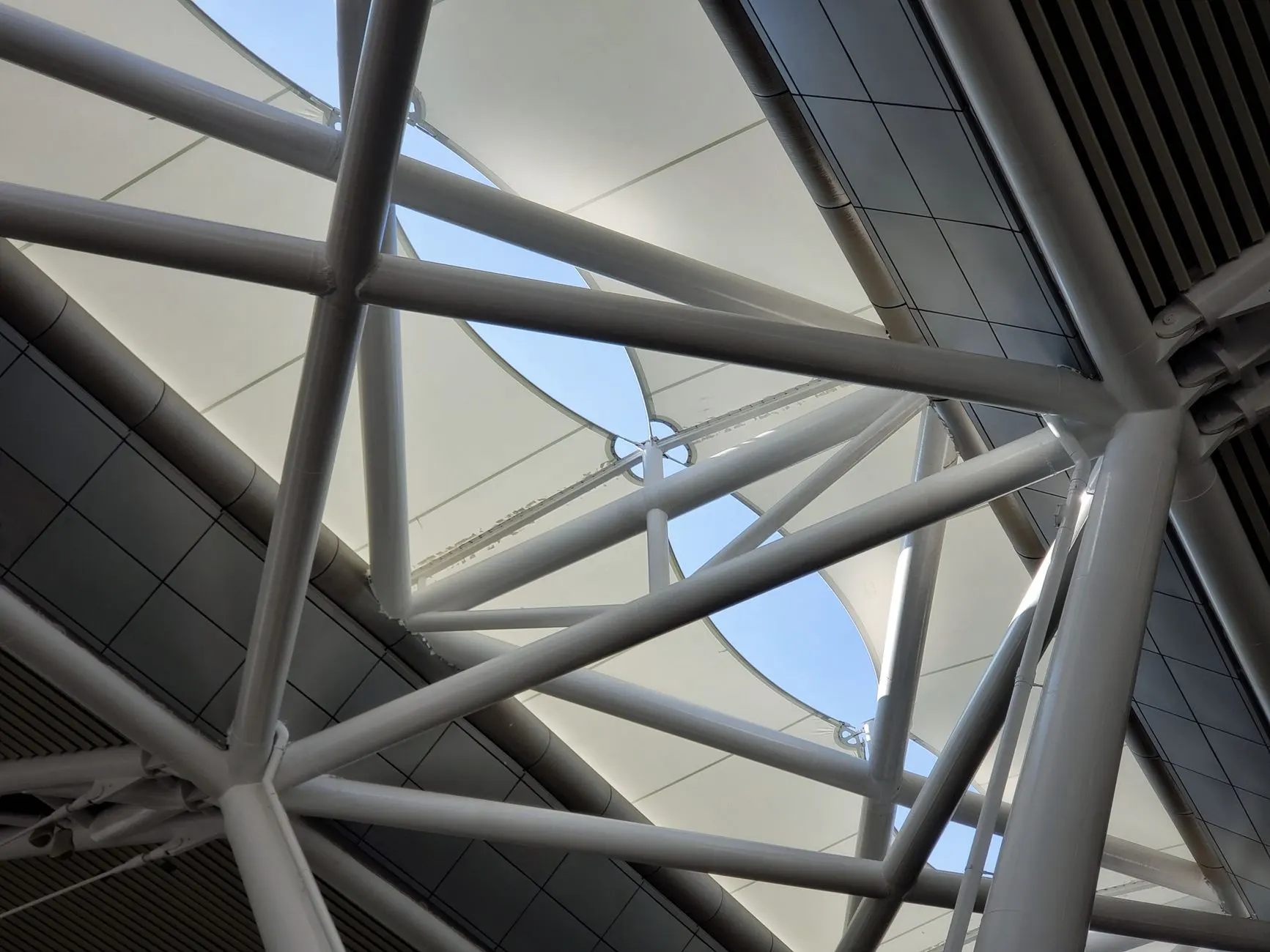 头皮护理液与植发术后恢复的关系及使用周期建议