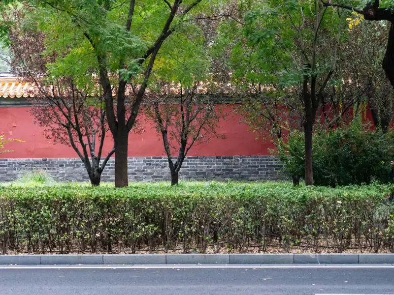 植发术后护理全周期方案：头皮护理液与防脱产品的协同应用解析
