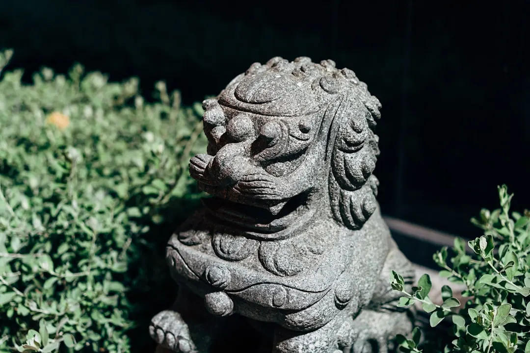 头皮环境检测技术在防脱固发方案中的实践应用